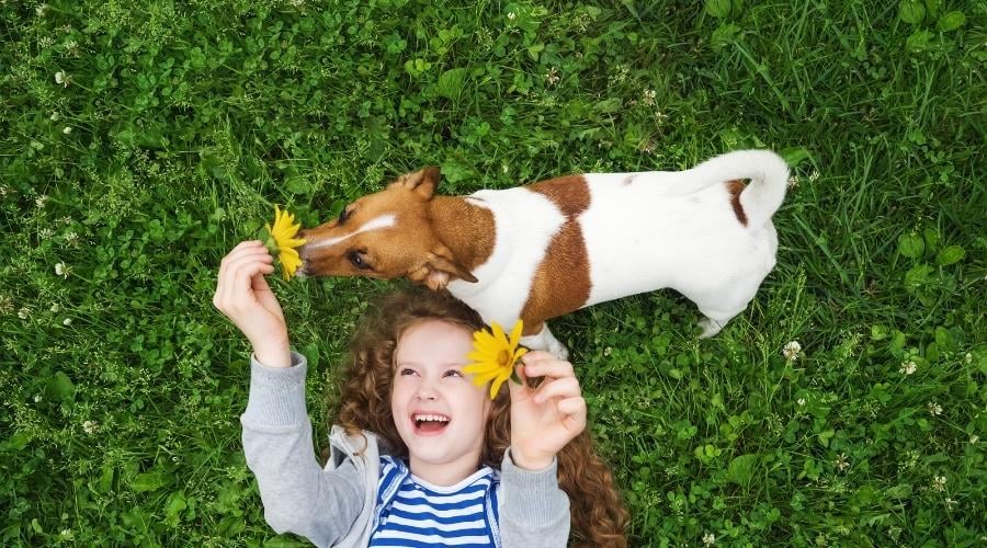 Laughing girl enjoy playing with her puppy dog on the grass in the summer park