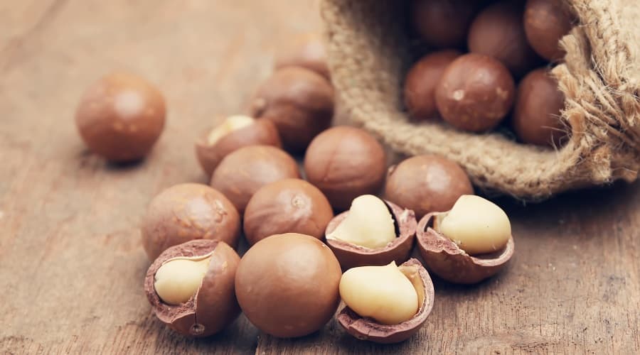 Macadamia Nuts