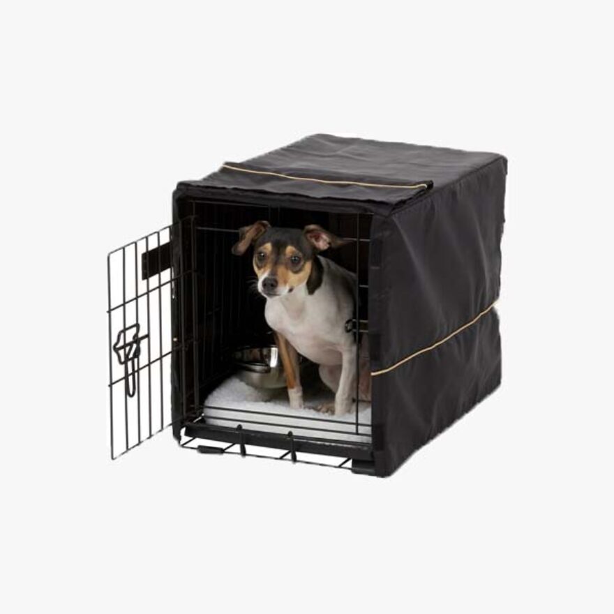 Best Crates For Dachshunds Canine Journal
