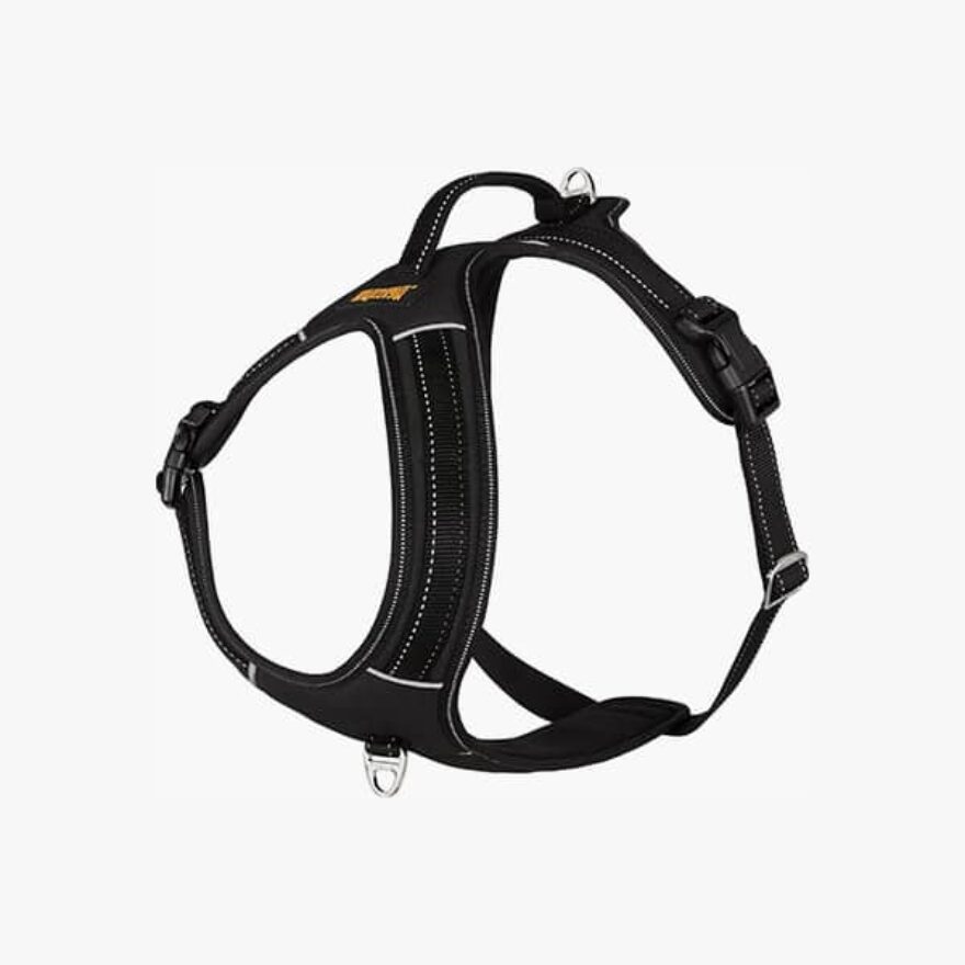 Best Harnesses For Australian Shepherds Ratings, Reviews, Top Picks