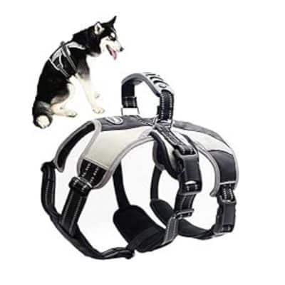 Mihachi Secure Dog Harness