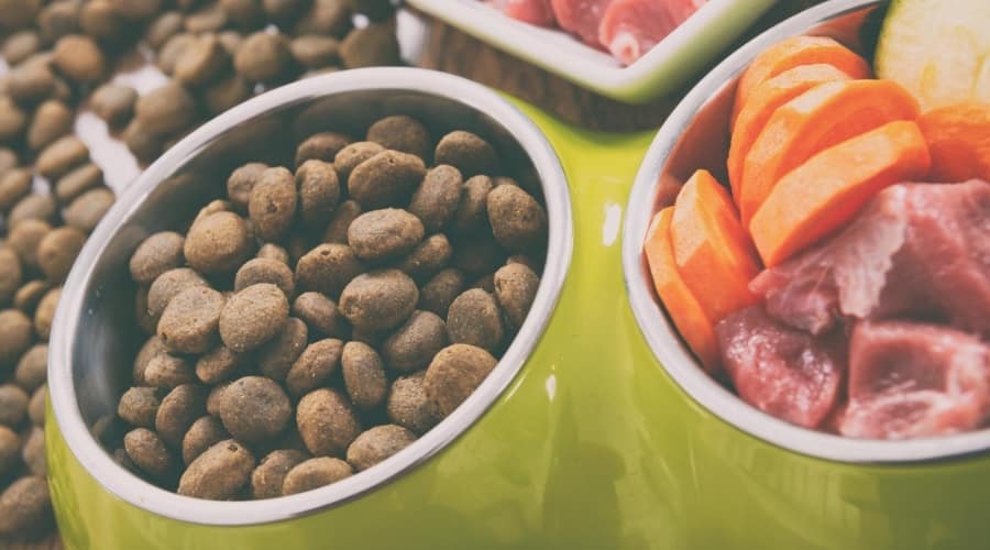 Natural Dog Food Ingredients