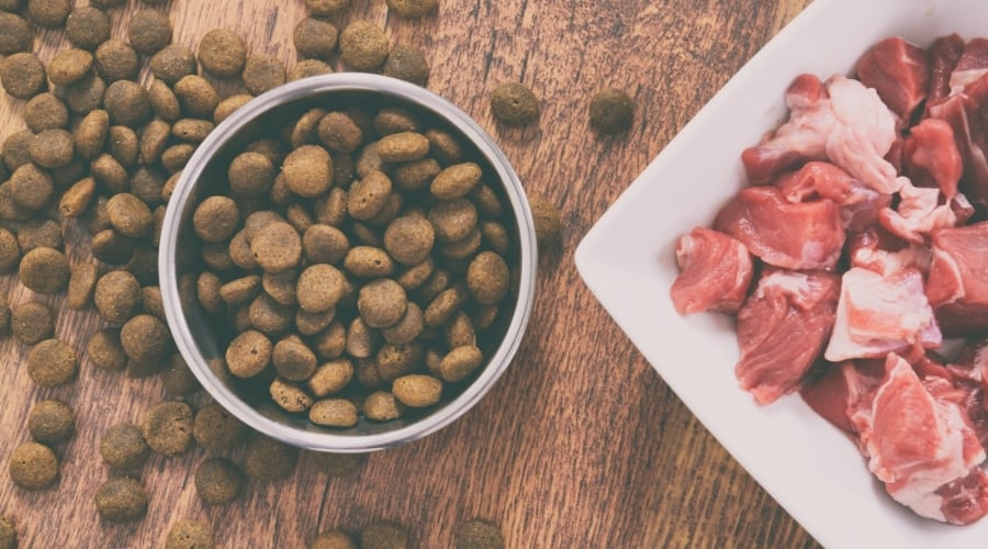Natural Dog Food Ingredients