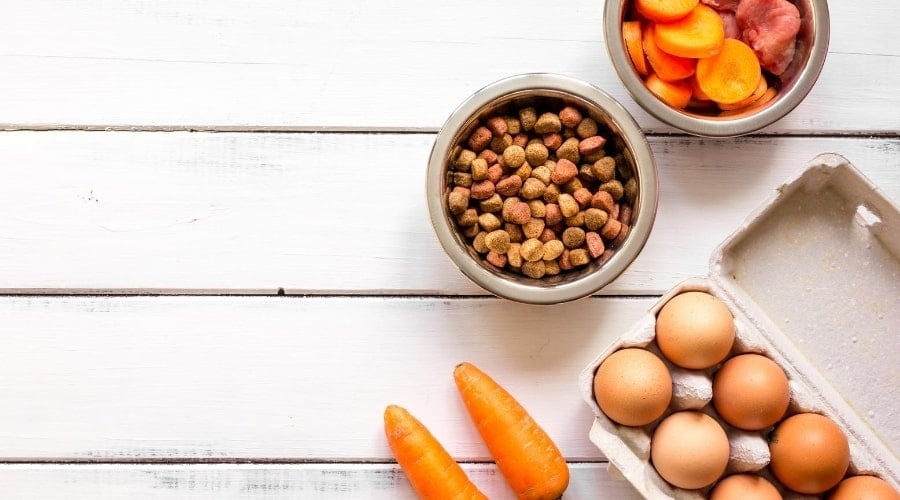 Natural Dog Food Ingredients Taste of the Wild