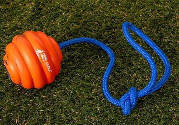 Nero Ball Ultra Indestructible Reward Toy sitting on grass