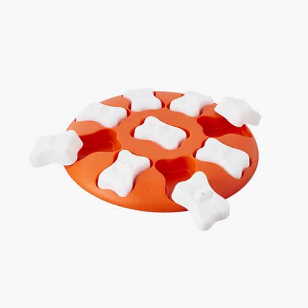 Nina Ottosson Dog Smart Beginner Puzzle