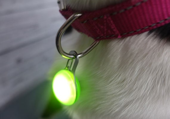 Nite Ize Spotlit LED clip attached to dog collar