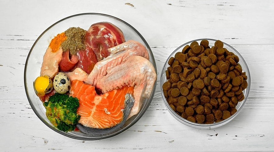Bowl of raw food next to kibble overhead shot.