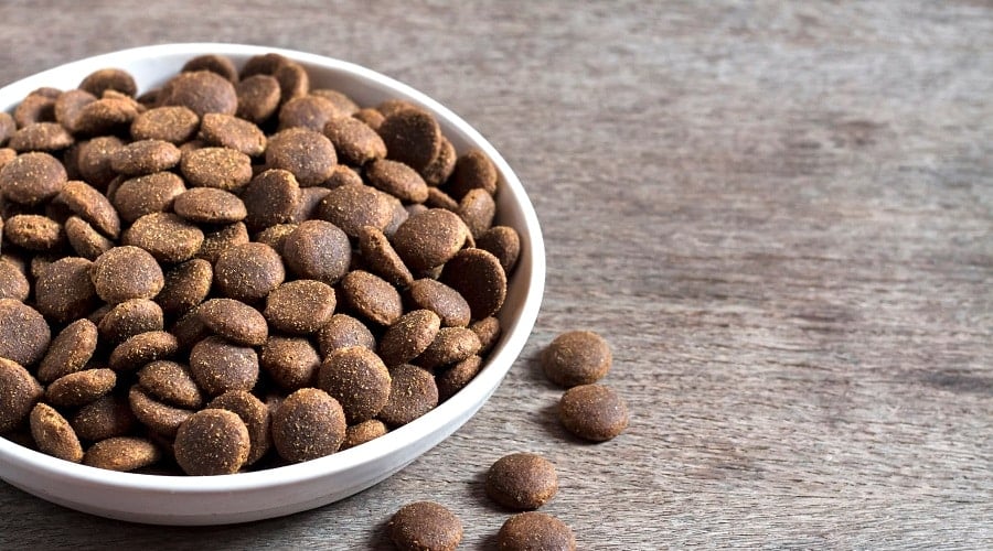 Nutro Dog Food in Bowl
