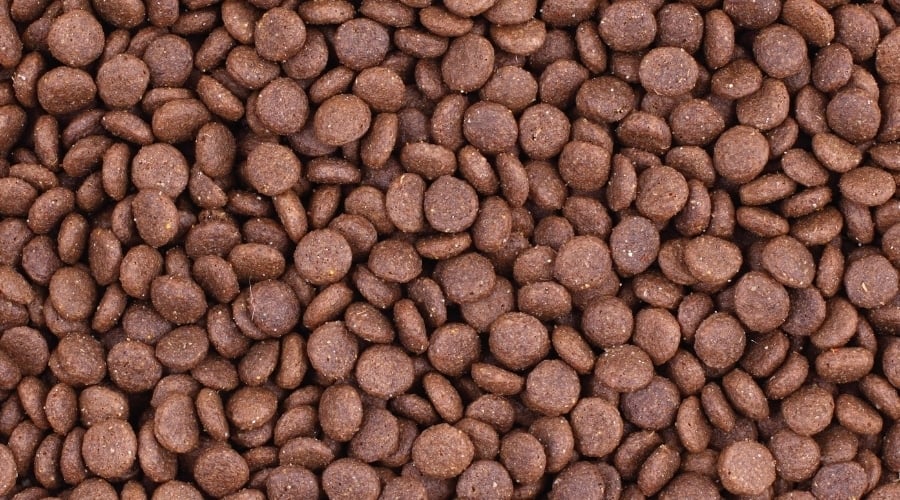 Nutro Dog Food