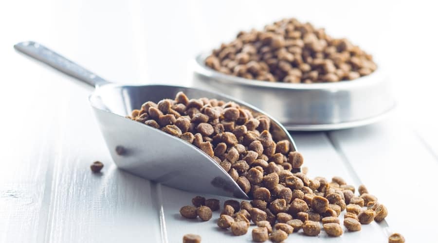 Nutro and Purina Pro