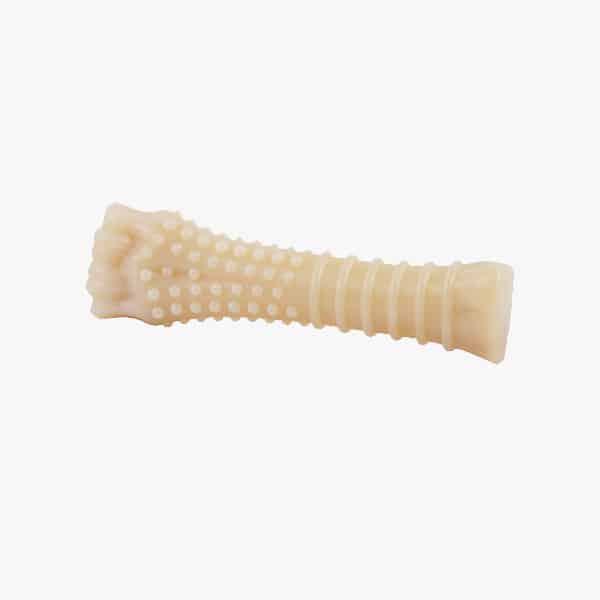 Nylabone dog toy.