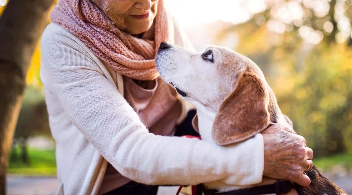 Old woman petting old dog.
