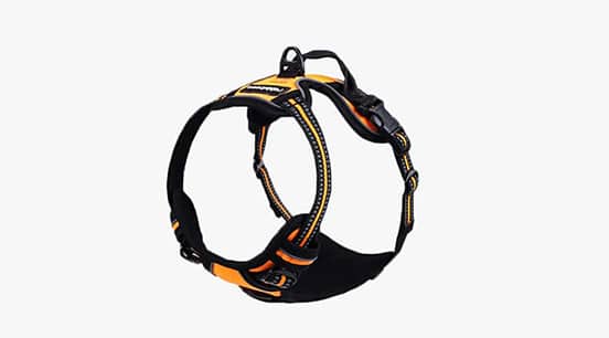 Photo inspiration: Visual Reference: Best Harnesses For Yorkshire Terriers Ratings Reviews Top Picks