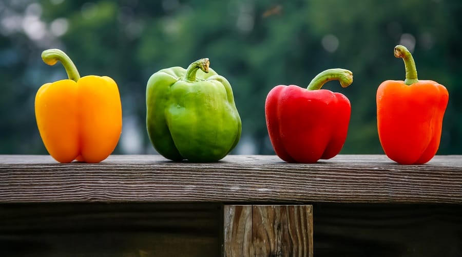 Orange red green and yellow bell peppers