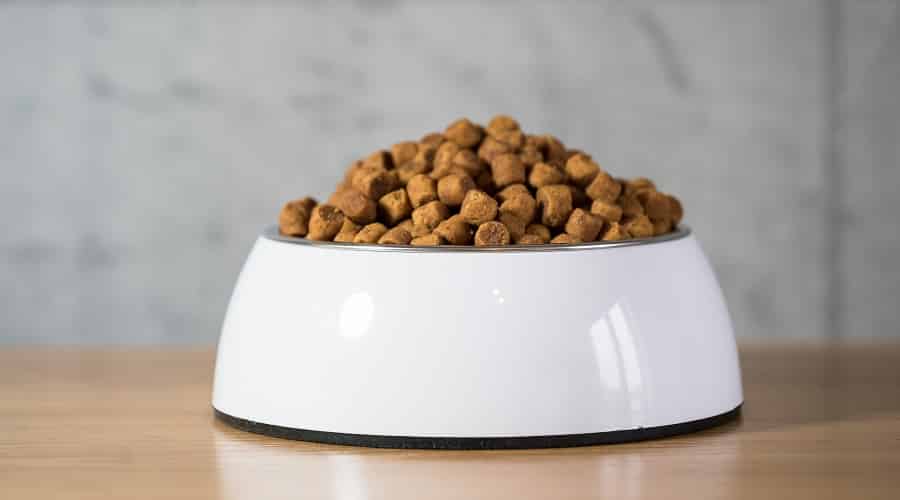 Orijen Dog Food Sitting on Table