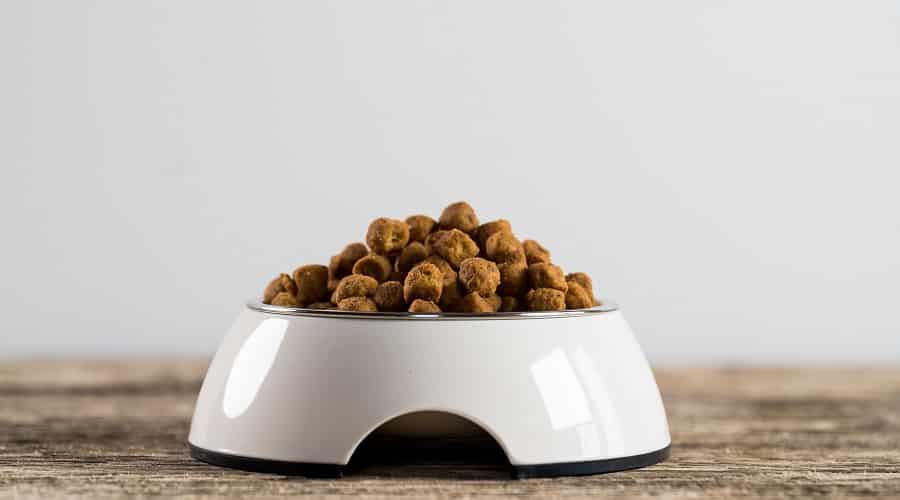 Orijen Dog Food Reviews Recall History, Ingredients & More Canine