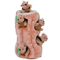 Outward Hound Hide-A-Squirrel