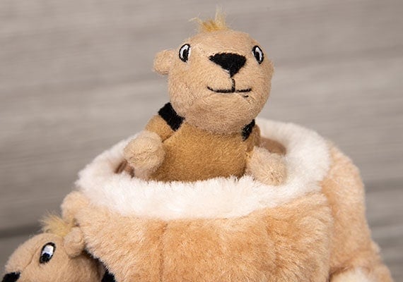 Outward Hound Hide-A-Squirrel small-sized squeaky plush toy for miniature dogs
