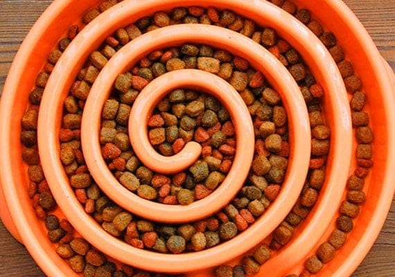 Outward Hound Spiral Fun Feeder large, orange slow feeder filled with kibble