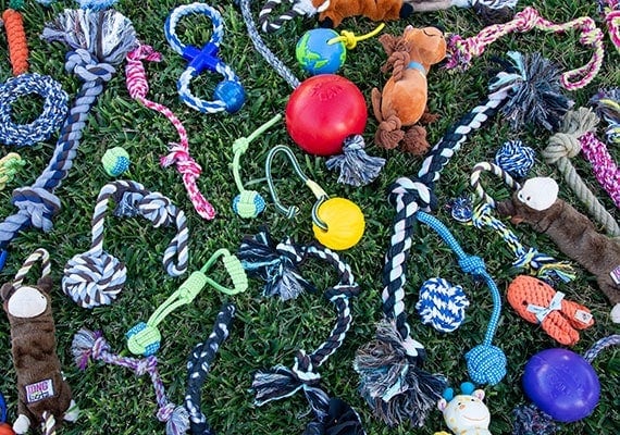 Over 50 different dog rope toys that were tested and reviewed to find the best