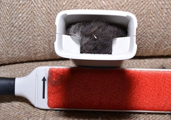 OXO furlifter furniture brush fur cleaning base filled with dog hair
