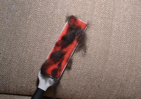 Oxo furlifter furniture brush removing large clumps of thick black dog hair from couch