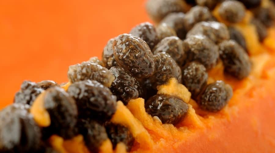 Papaya Seeds