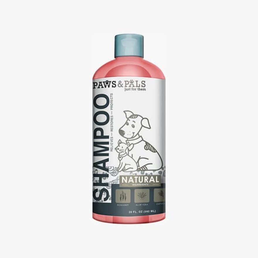 Best Oatmeal Shampoos For Dogs Ratings, Reviews & Top Picks Canine Journal