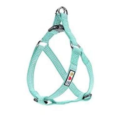 Pawtitas Pet Reflective Step In Dog Harness