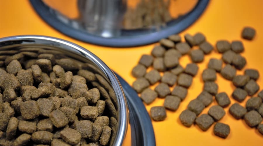 Pea Free Dog Food