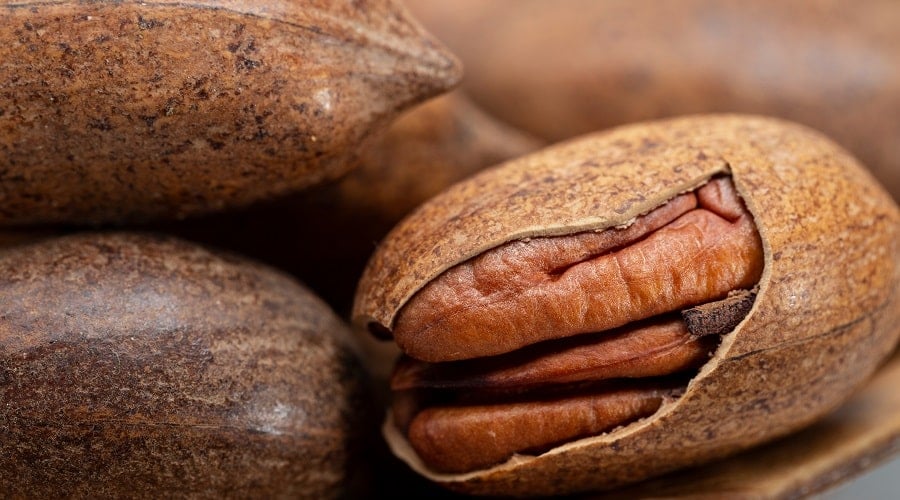Pecans