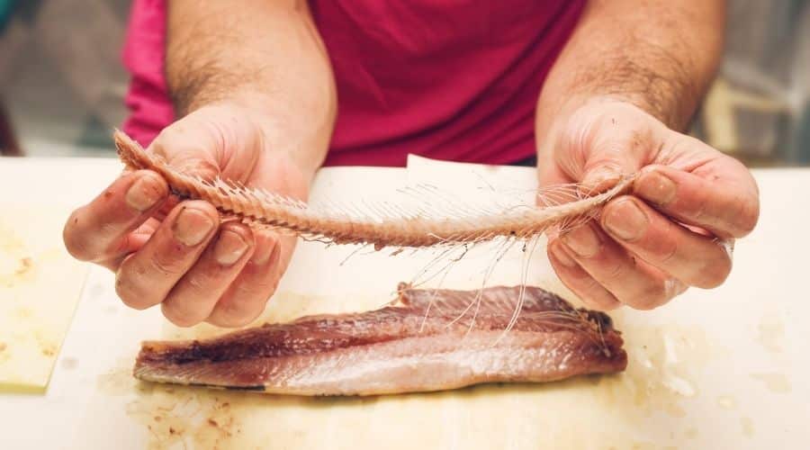 Person holding fishbone