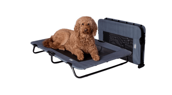 Best Dog Beds For Corgis: Couch, Mattress, Elevated & More | Canine Journal - Canine Orthopedic Elevated Bed Review