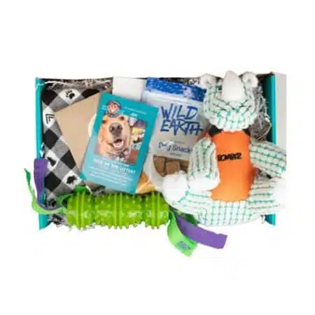 Pet Treater