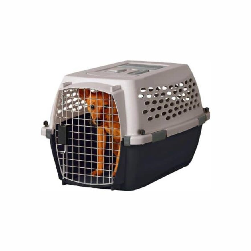 Best Crates For Dachshunds Canine Journal