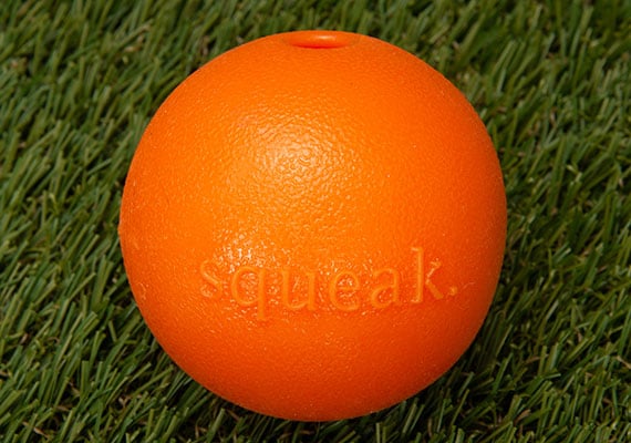 Planet Dog Orbee Tuff Squeak Ball