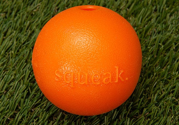 Planet Dog Orbee Tuff Squeak Indestructible Sqeuak Toy Sitting on grass