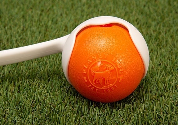 Planet Dog Orbee Tuff Squeak picked up in large sized ball thrower.