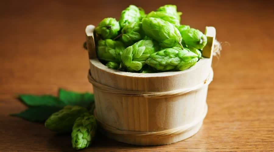 Basket of hops.
