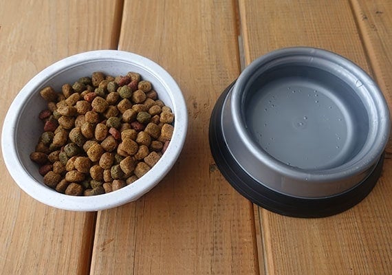 Plastic dog bowls filled with food and water side by side