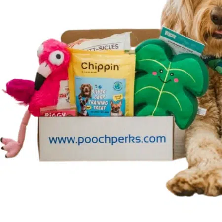 Pooch Perks