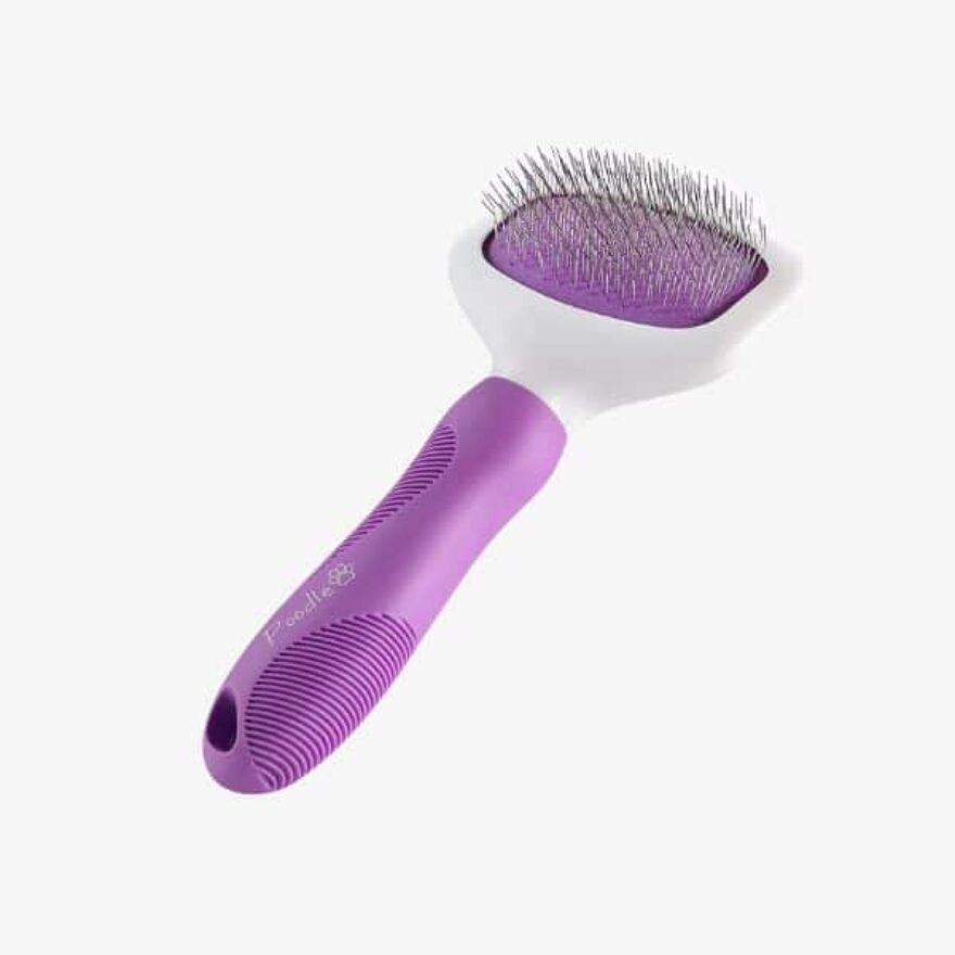 Best Brushes For Poodles Canine Journal