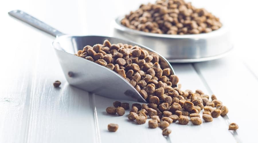 Dog food kibble in scoop and in a bowl.