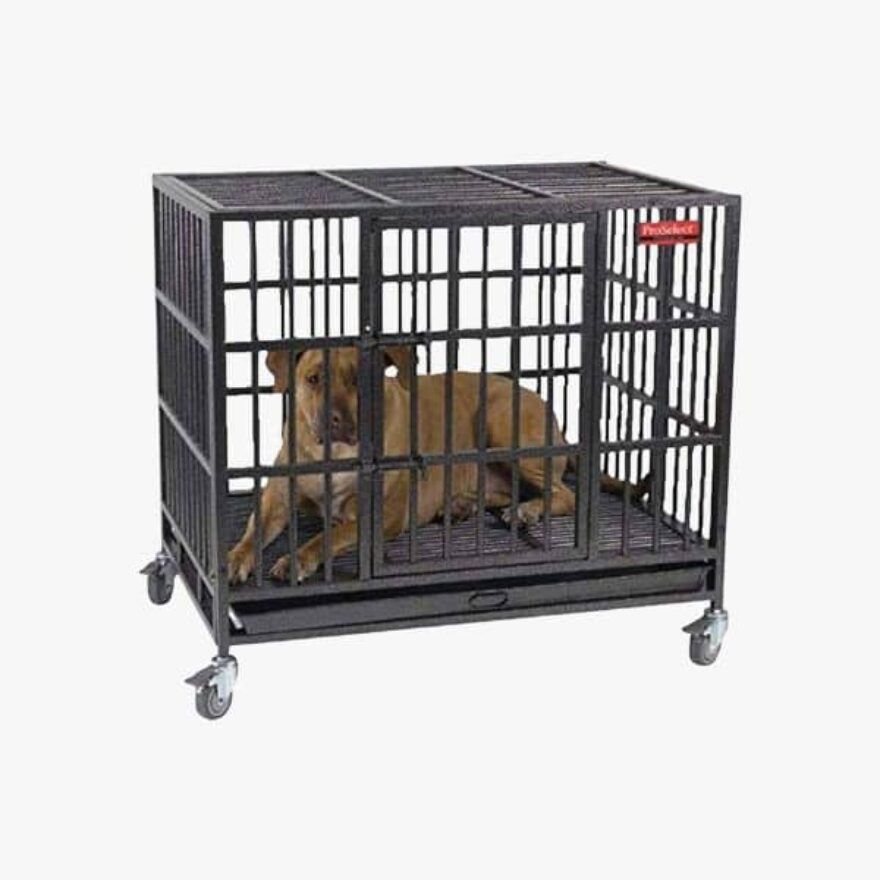 Best Heavy Duty Dog Crates That Are Practically Indestructible Canine