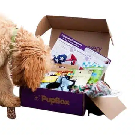 PupBox