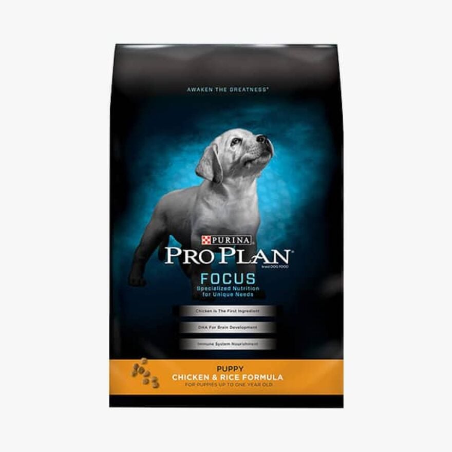 Purina Pro vs Science Diet: Which Dog Food Is Better? | Canine Journal