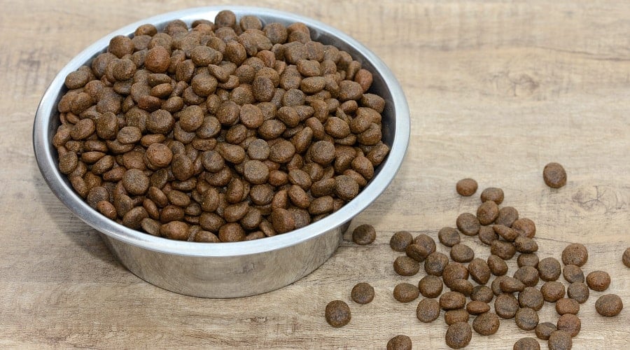 Purina Pro dog food in bowl
