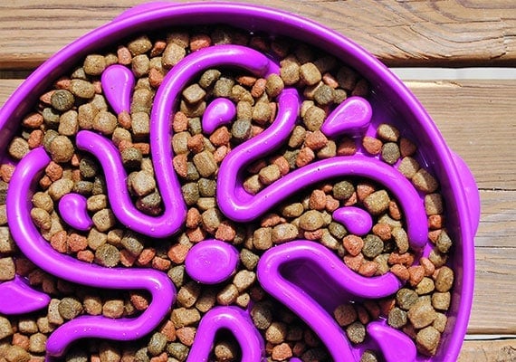 Purple Outward Hound Fun Feeder slow-bowl filled with dry kibble.