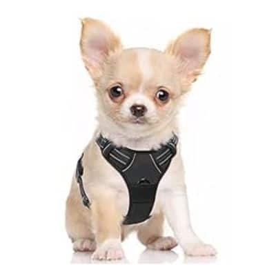 Rabbitgoo Dog Harness jpg 1